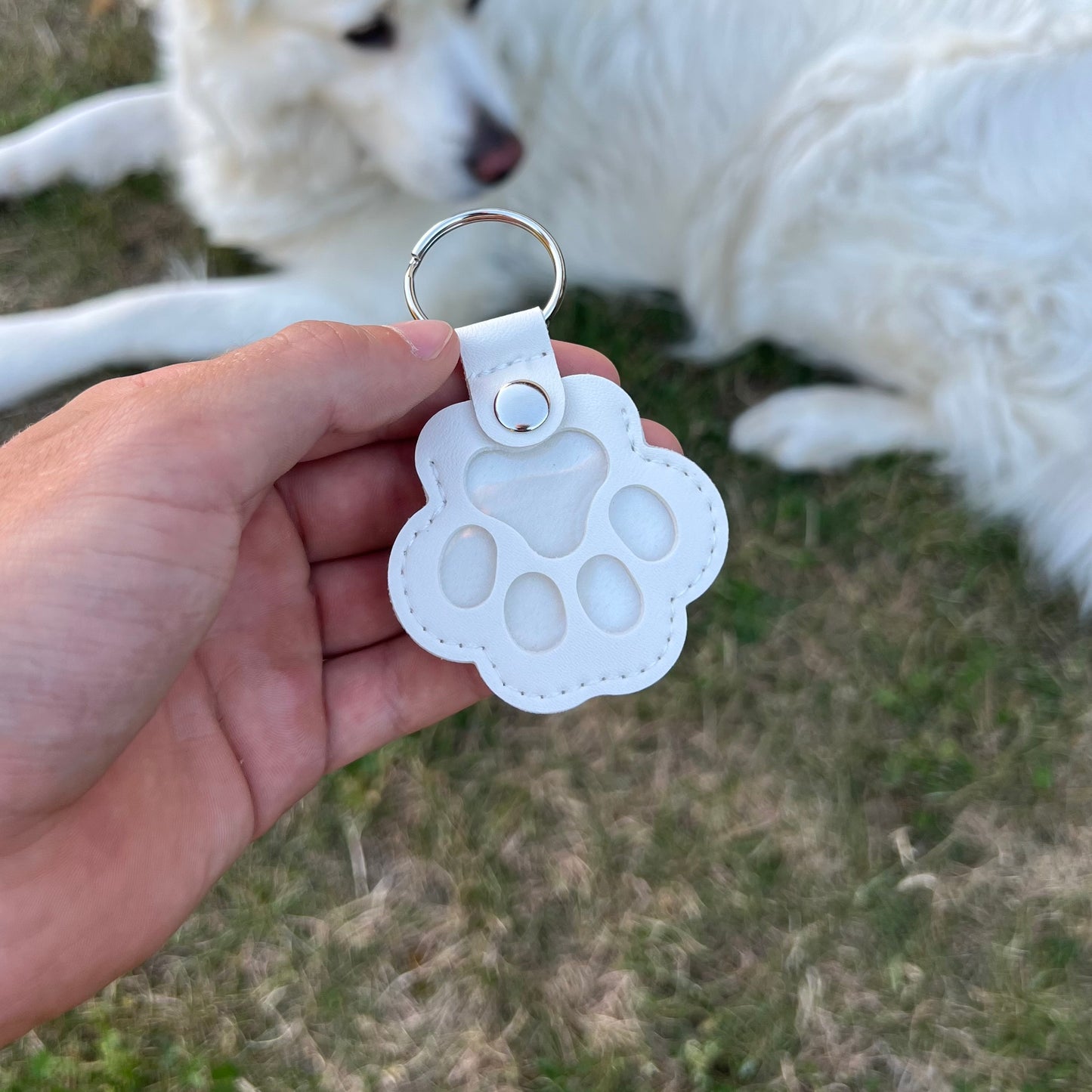 FurEver Keepsake